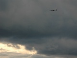 Tn  DSC0432